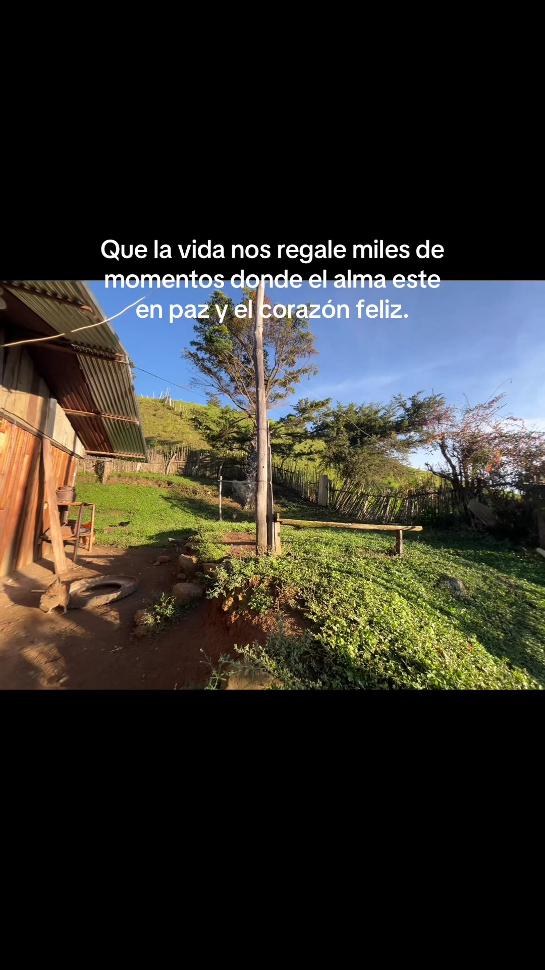 @Liliana Gil