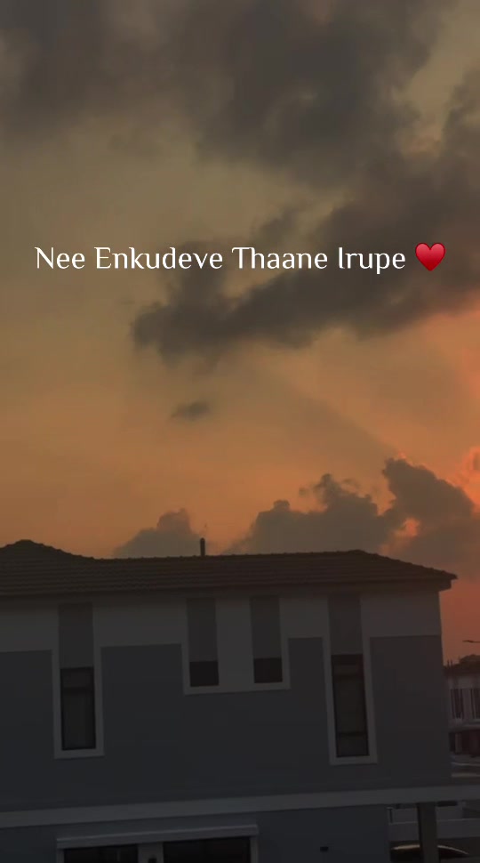 @ѕυηѕнιηє✨