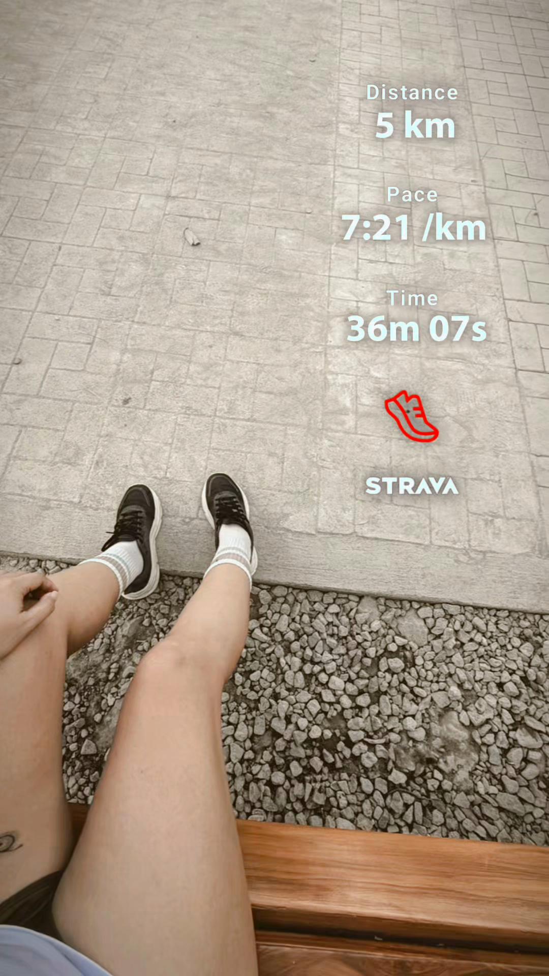 @maarlenegc