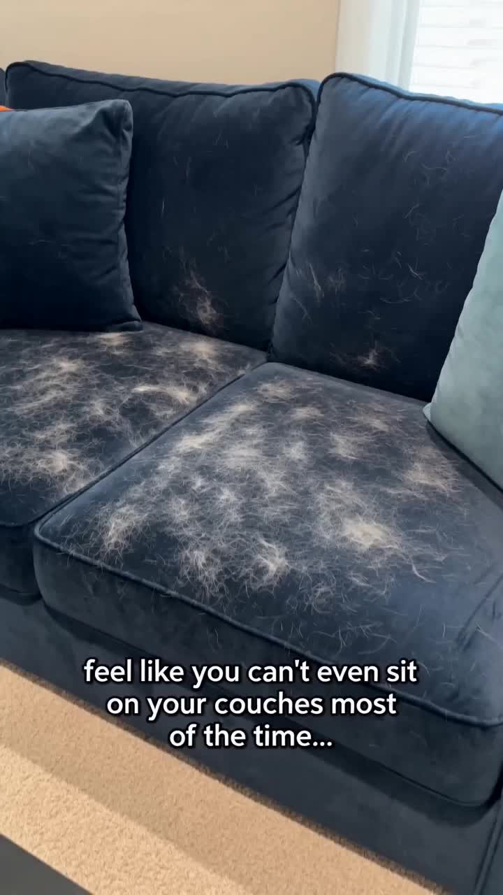 @Funny Ai