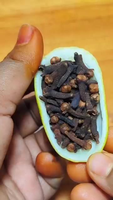 @alameenmea
