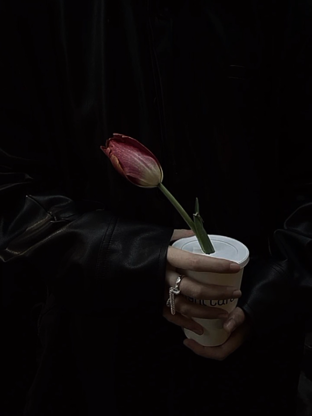 @𝓽𝓮𝓶𝓾𝓻𝓪𝓼𝓪📖