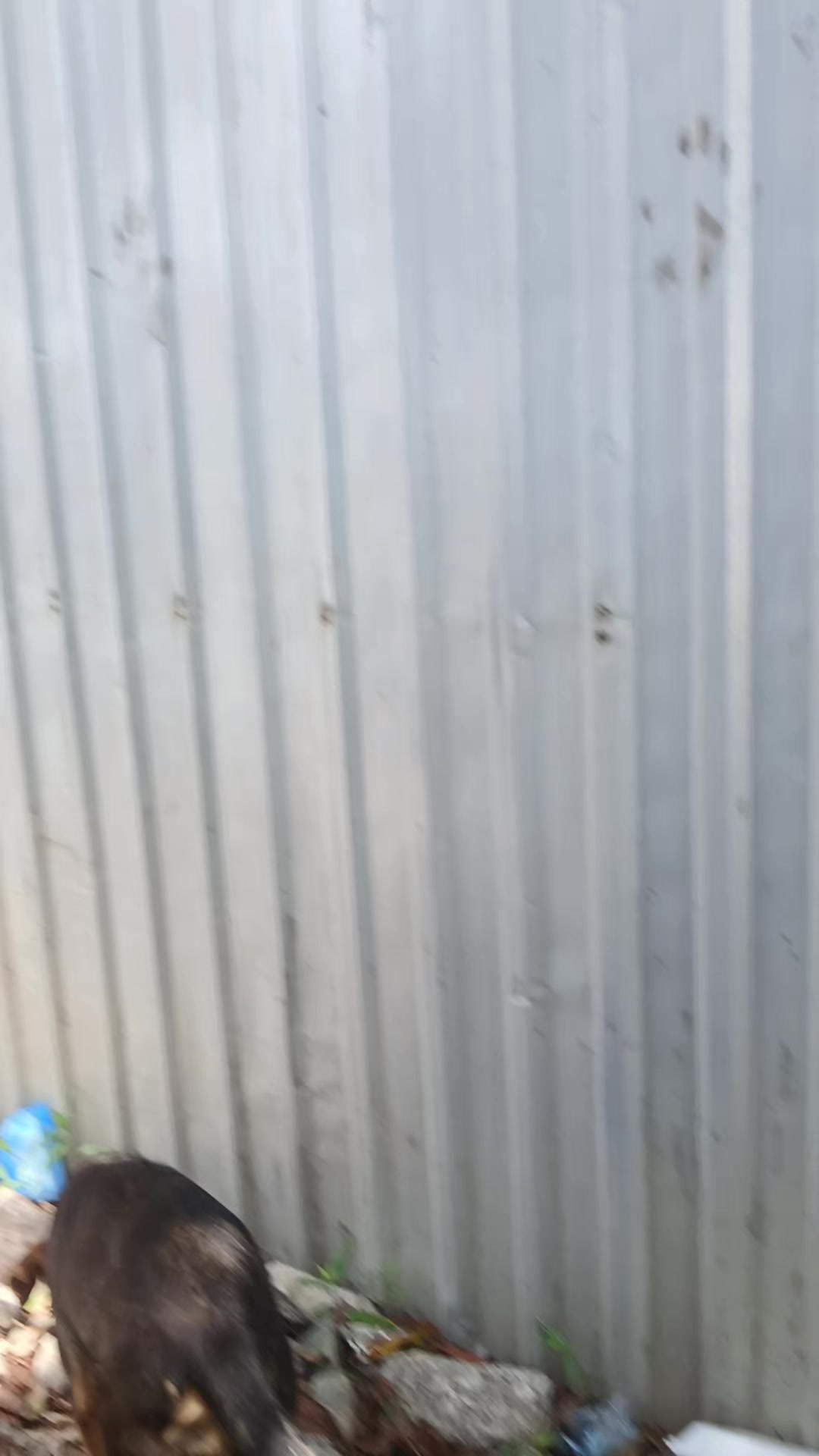 @Romero🍀✌🏽