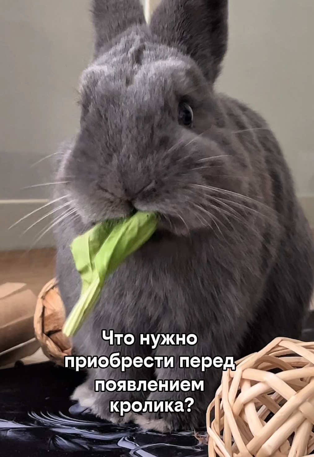 @Пусик