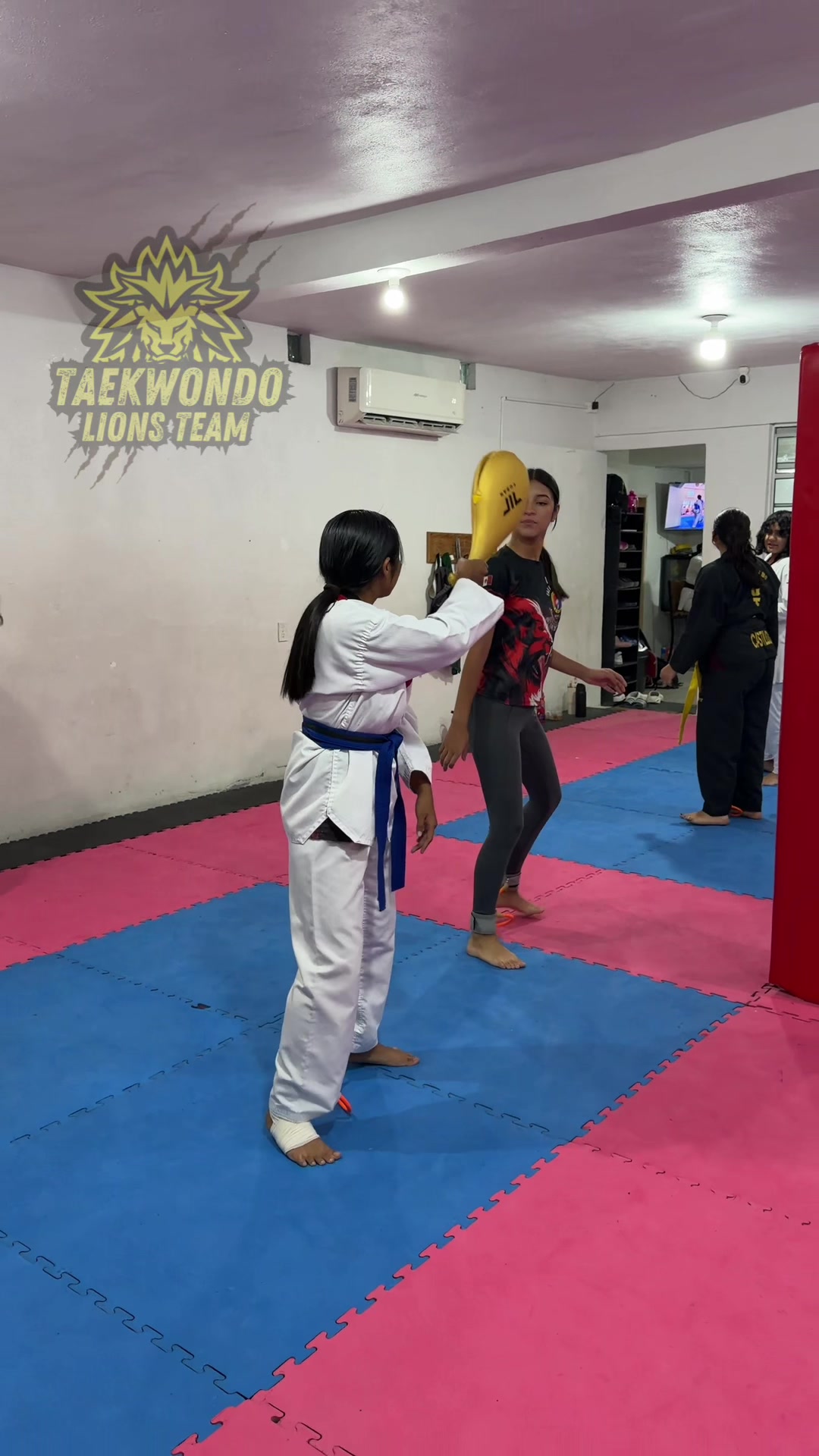 @taekwondolionsteam