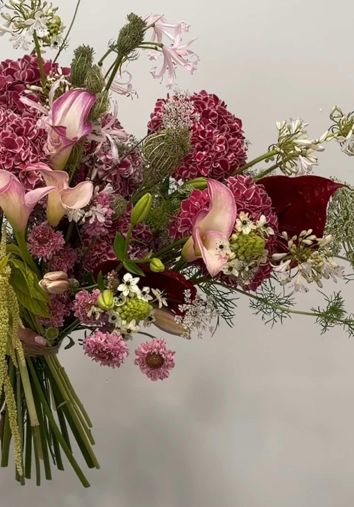 @iubidubi flowers