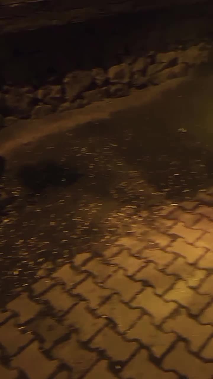 @Ơ̈ȤƘƛƝ ƘıƦƛƇ̧