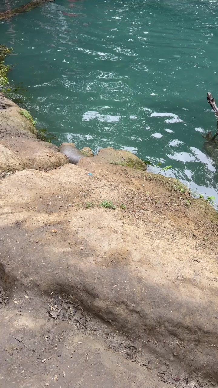 @Fərid