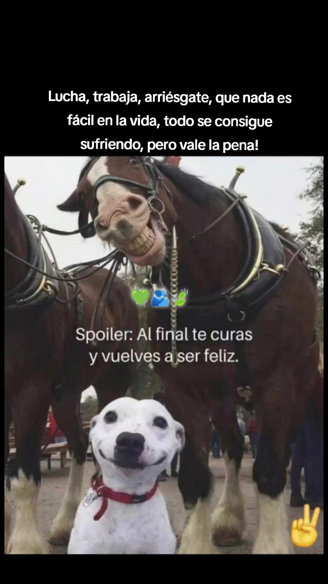 @Alejandro Silva