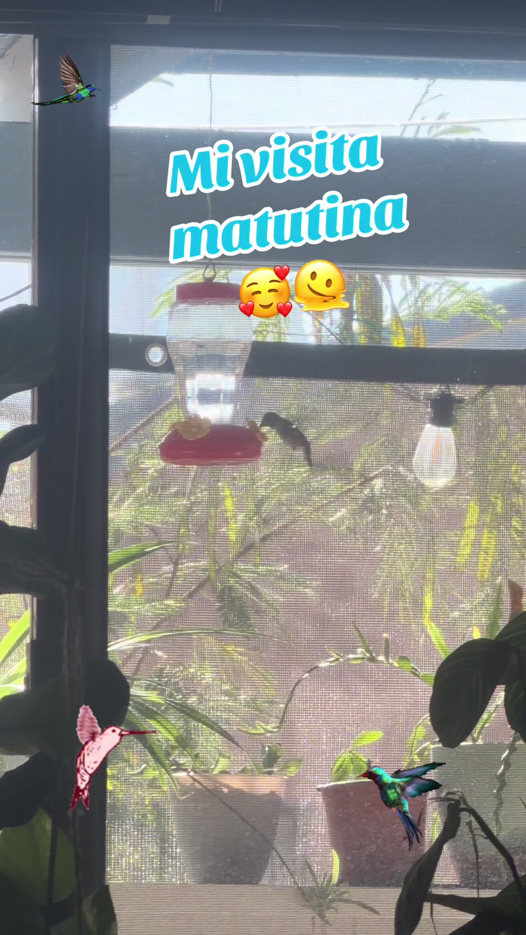 @Mami_1721
