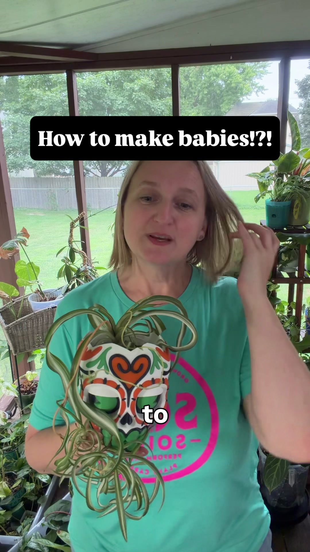 @Pothosiblyaboutplants