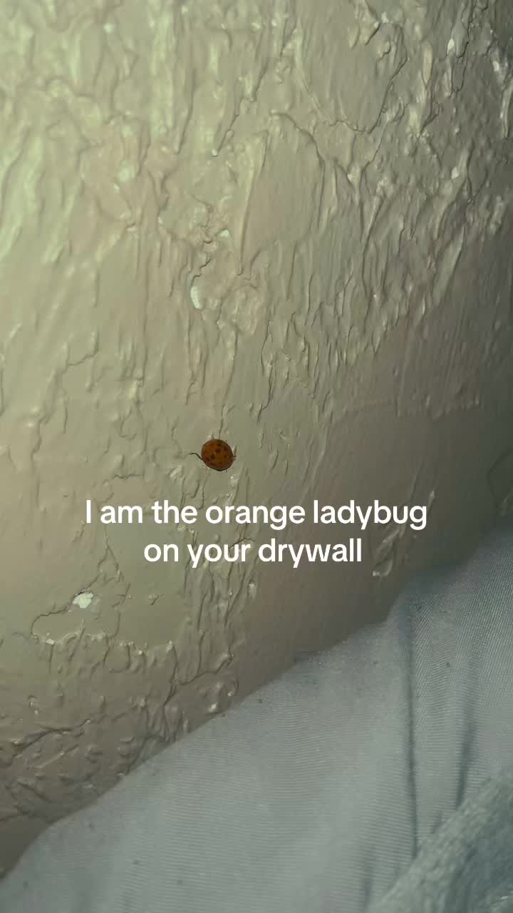 @BEE