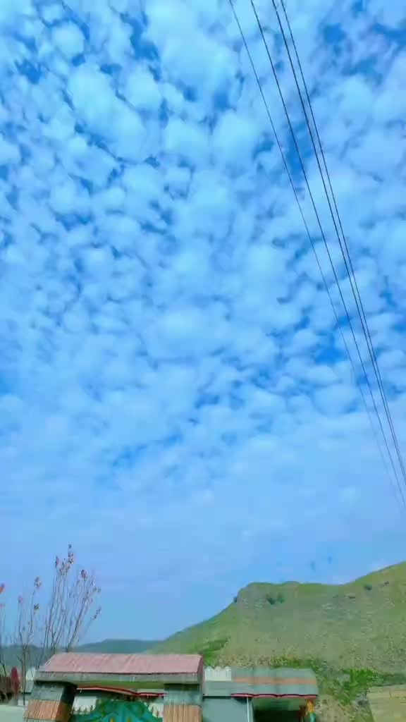 @ملک محسن شہزاد911