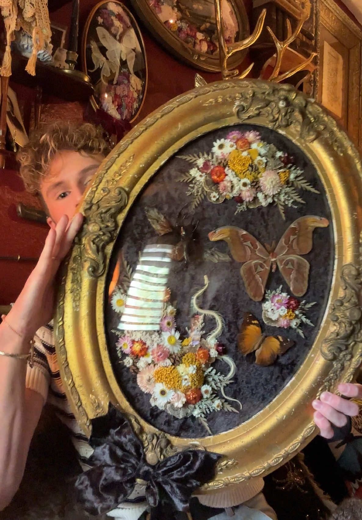 @Jack ~ Insect Monarch ~ 🦋