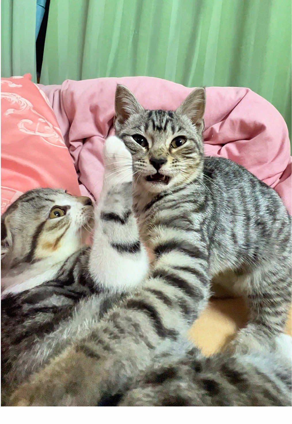 @淘气鬼