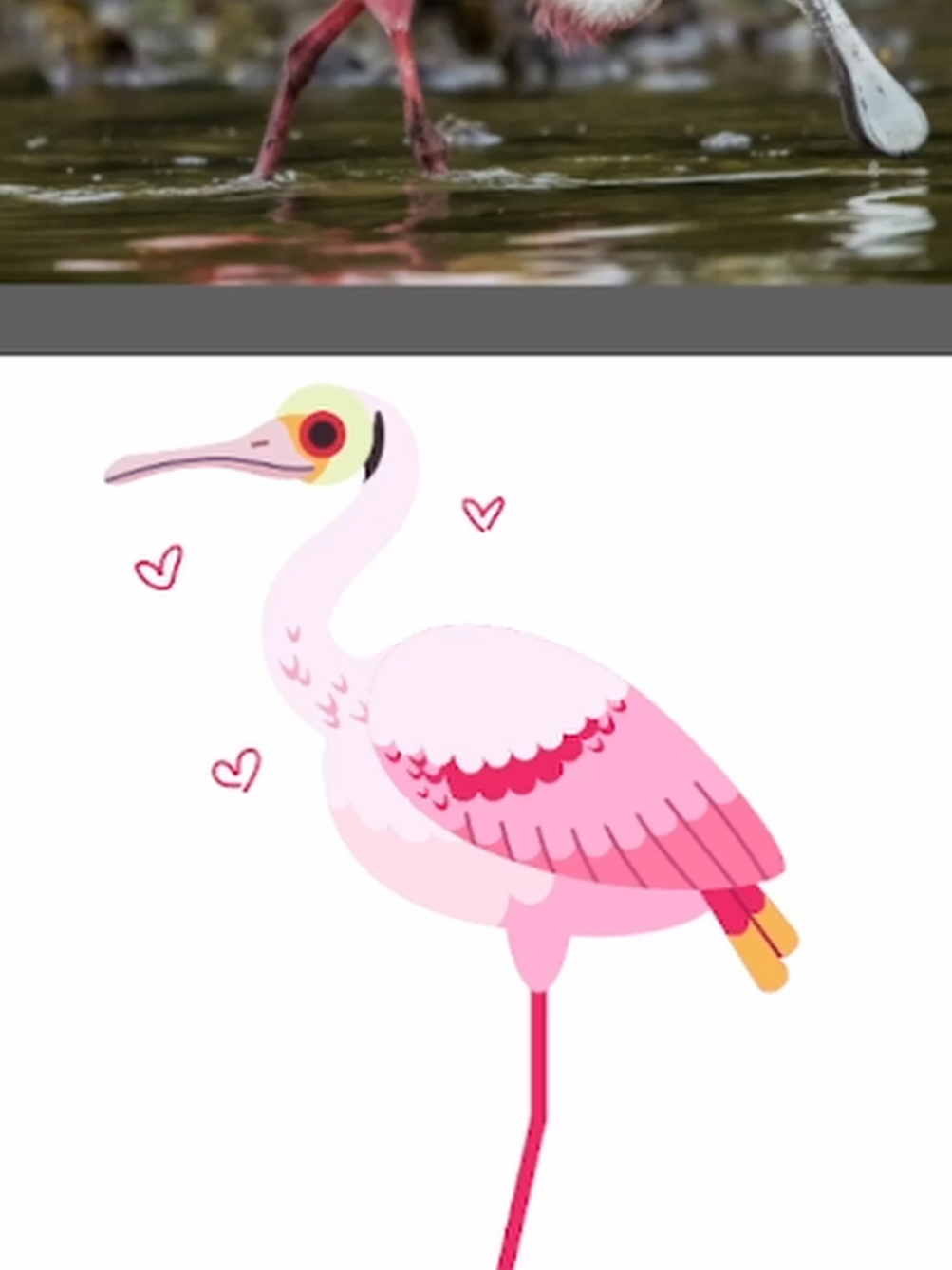 @Flock Around