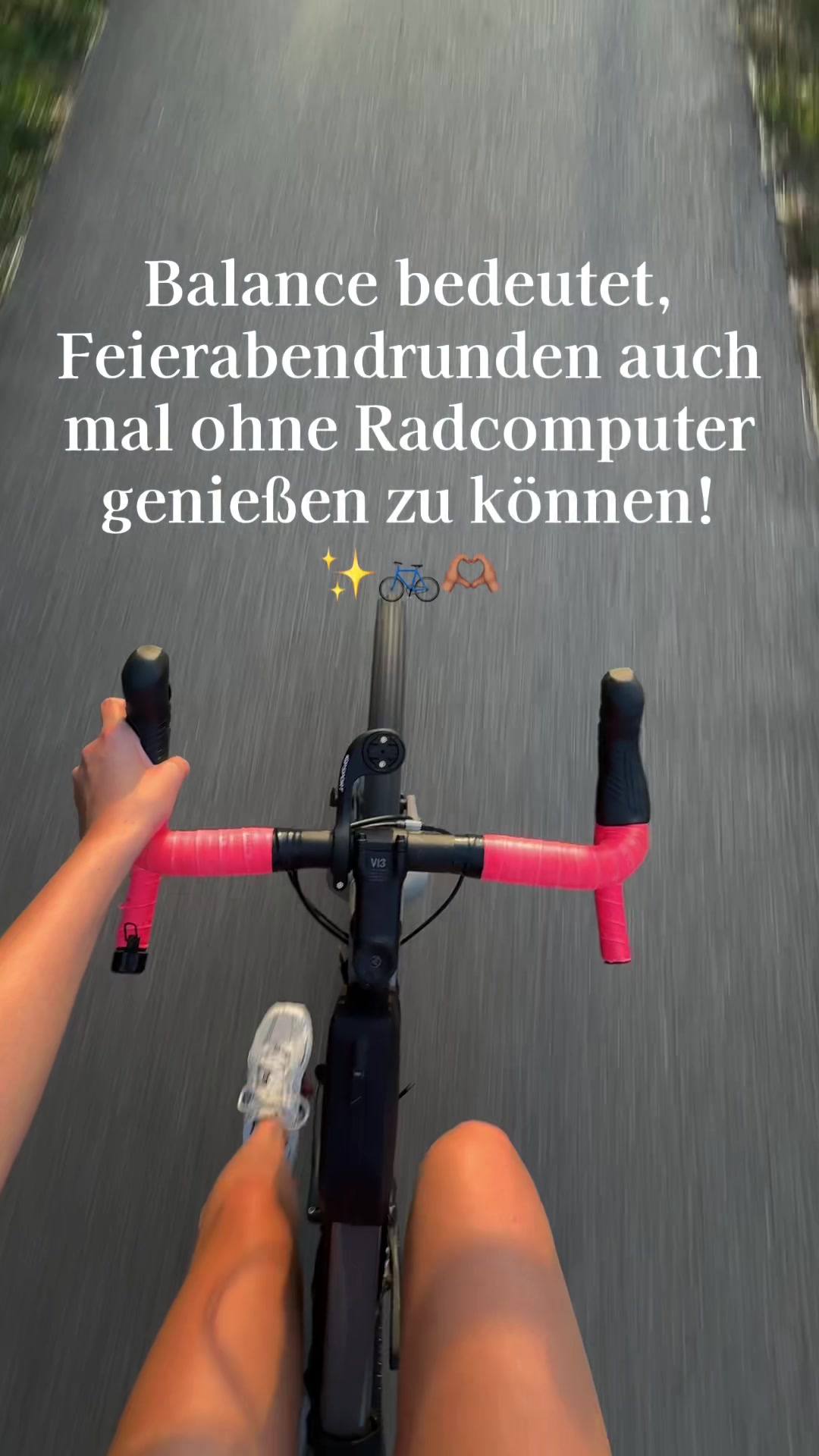 @Taschi✨travel🌴,gravel🚲&gym🐭