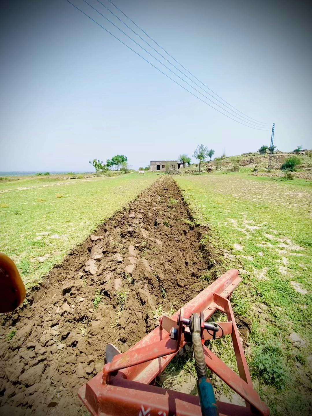 @اعوان زرعی فارم 🌾