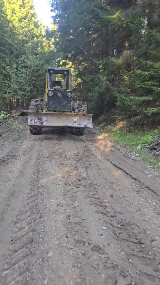 @🌲V.K🌲