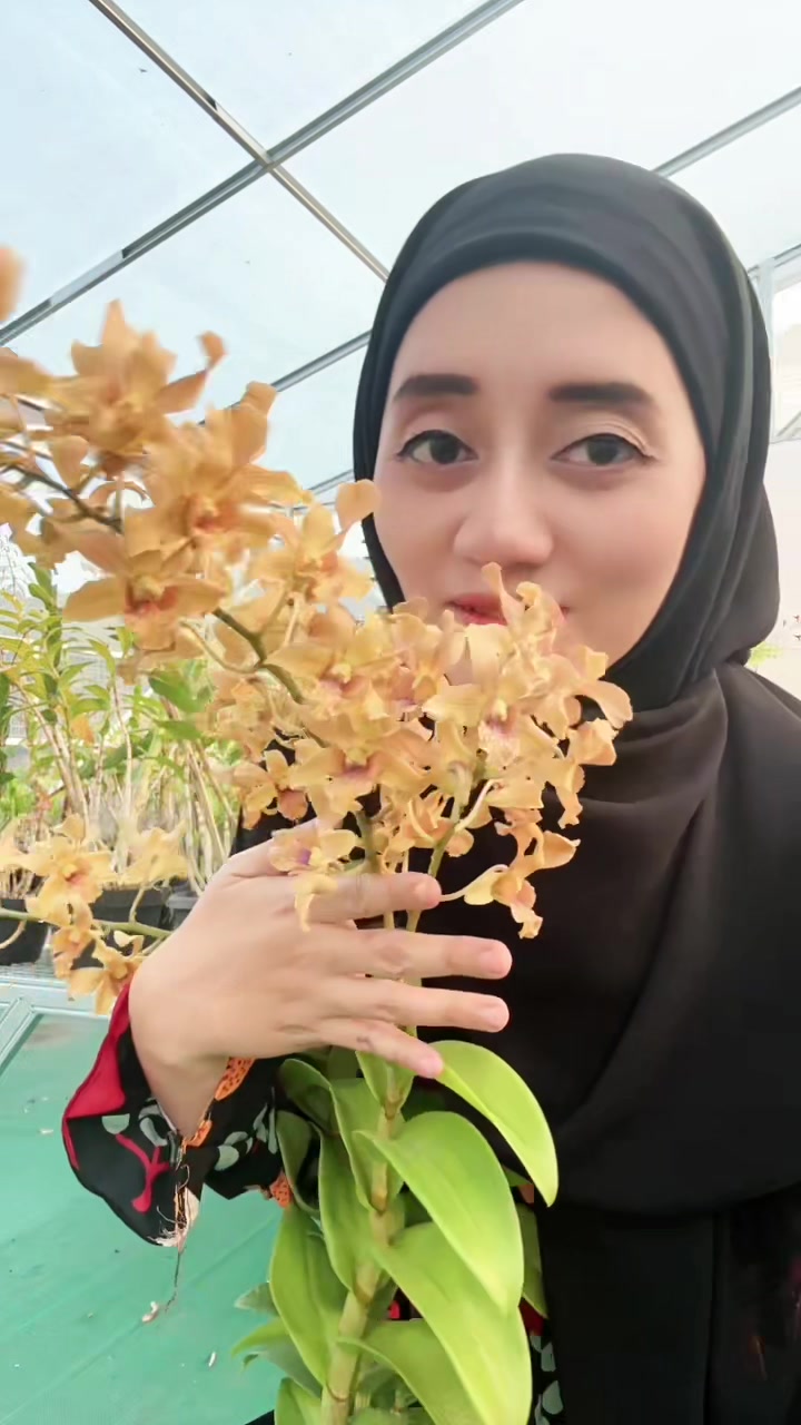 @Anggina Orchid
