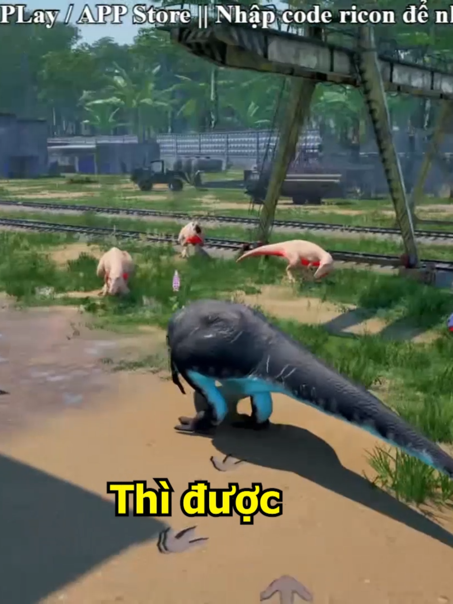 @Ricon Sinh Tồn
