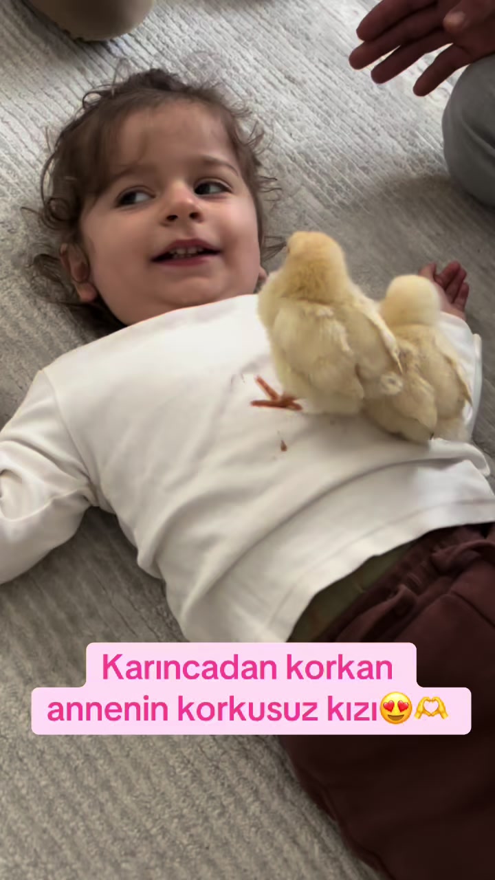 @Babykumsall