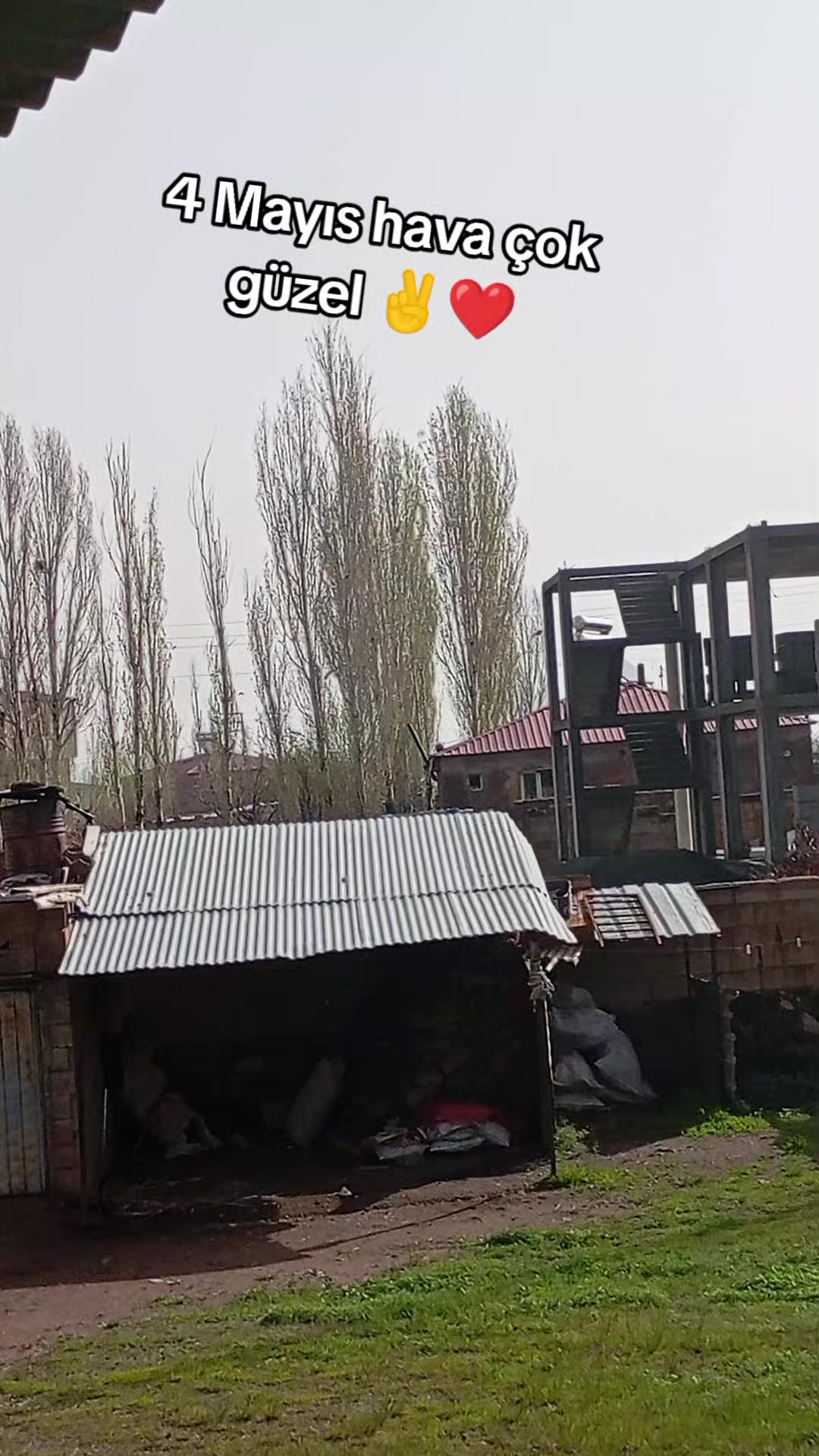 @bazidli adem04