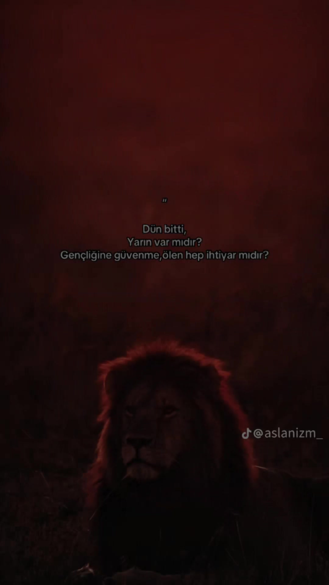 @arap çoçuğu