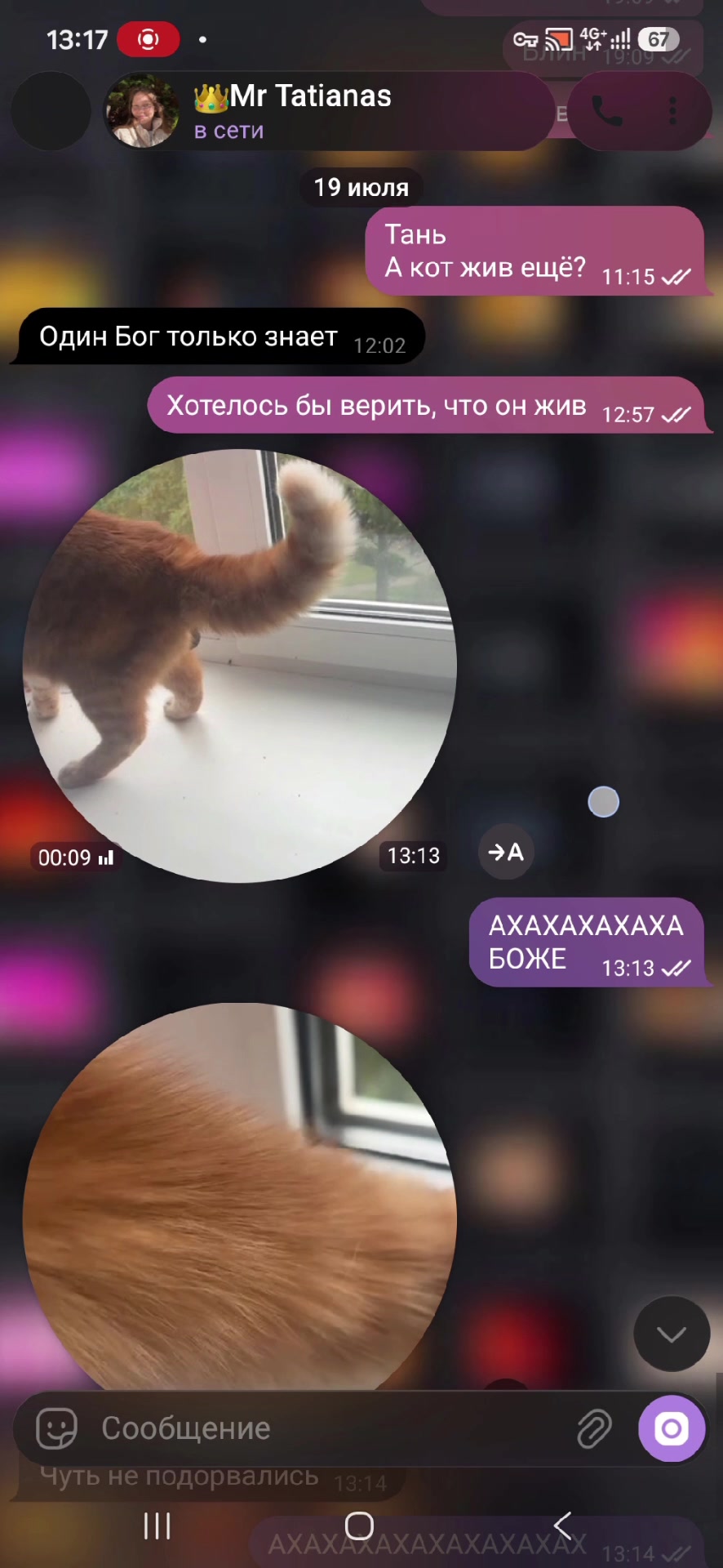 @🐼PANDANYTAYA🐼