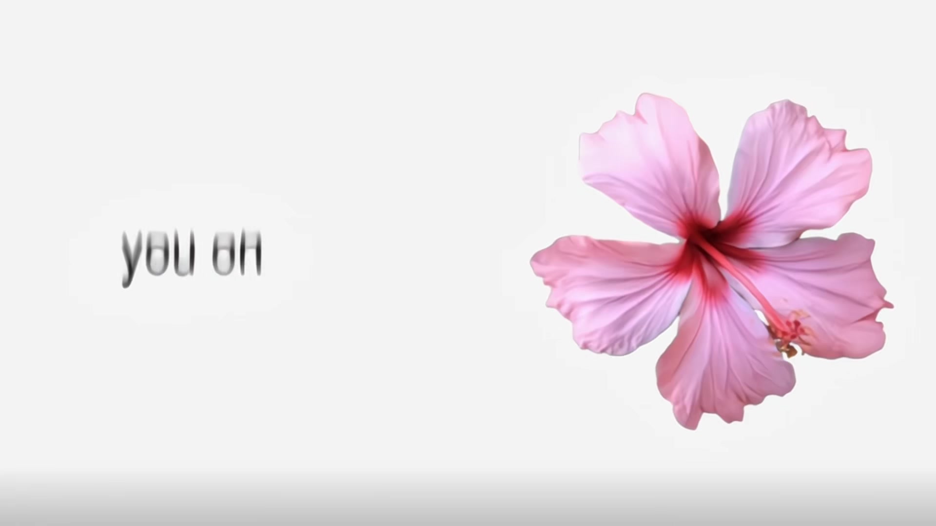 @𝐲𝐰𝐞𝐮