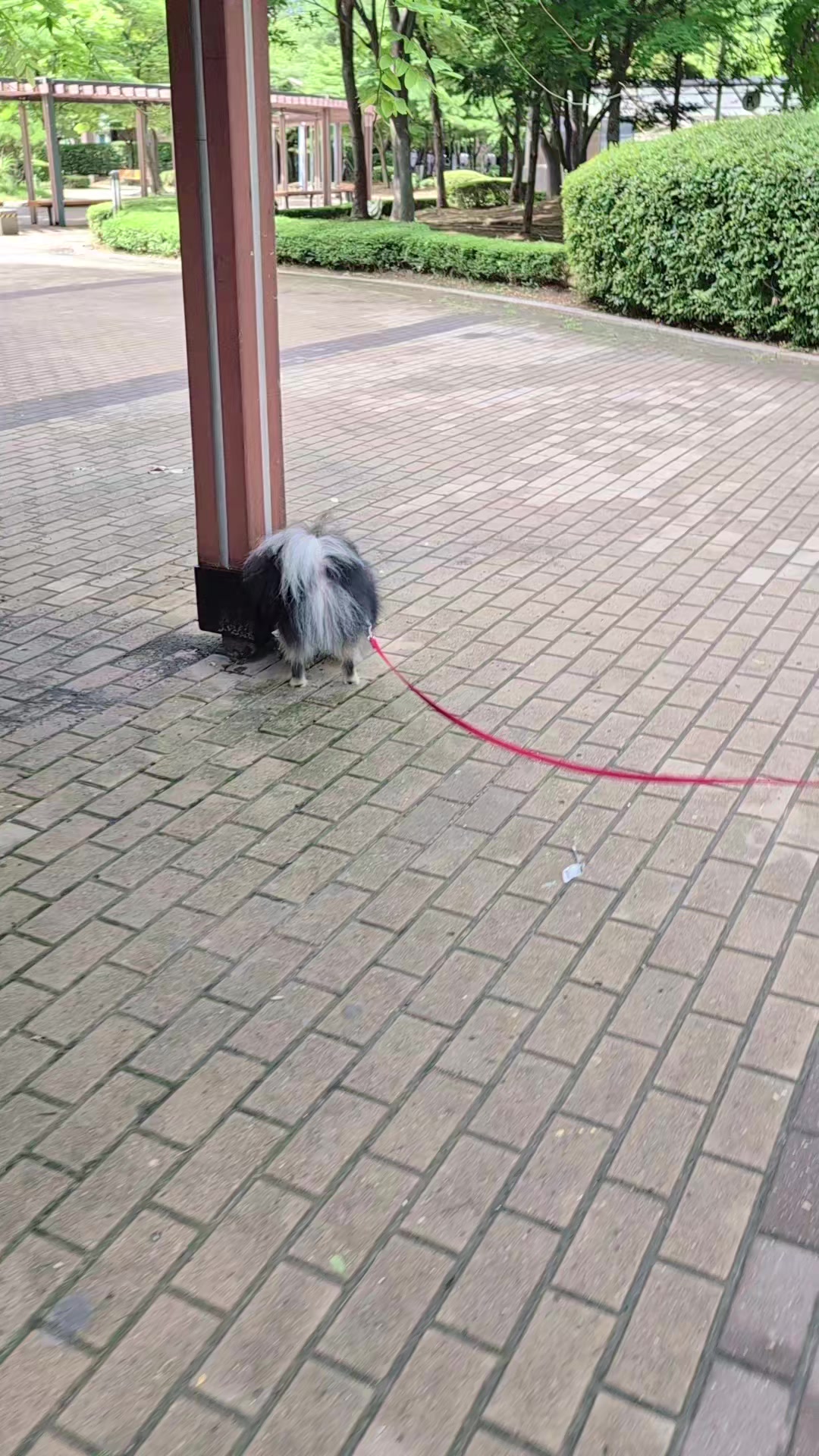 @똥글이