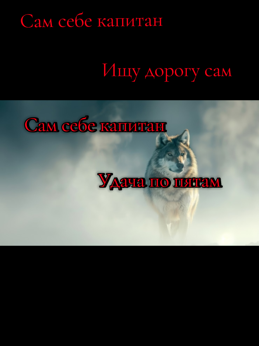 @įѵąղ🦉చìʂҽ✔️