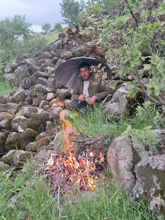 @mıhan oğlu beslicilik