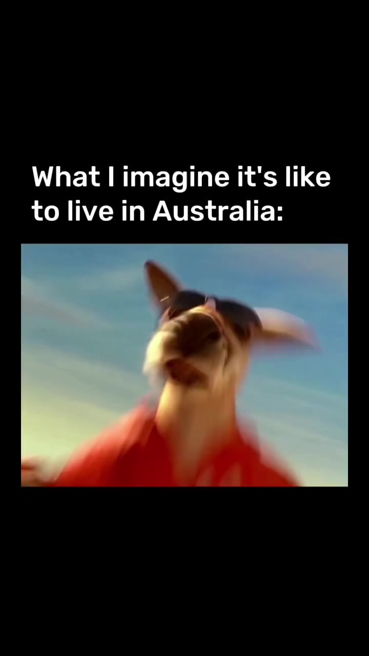@FIFO Australia
