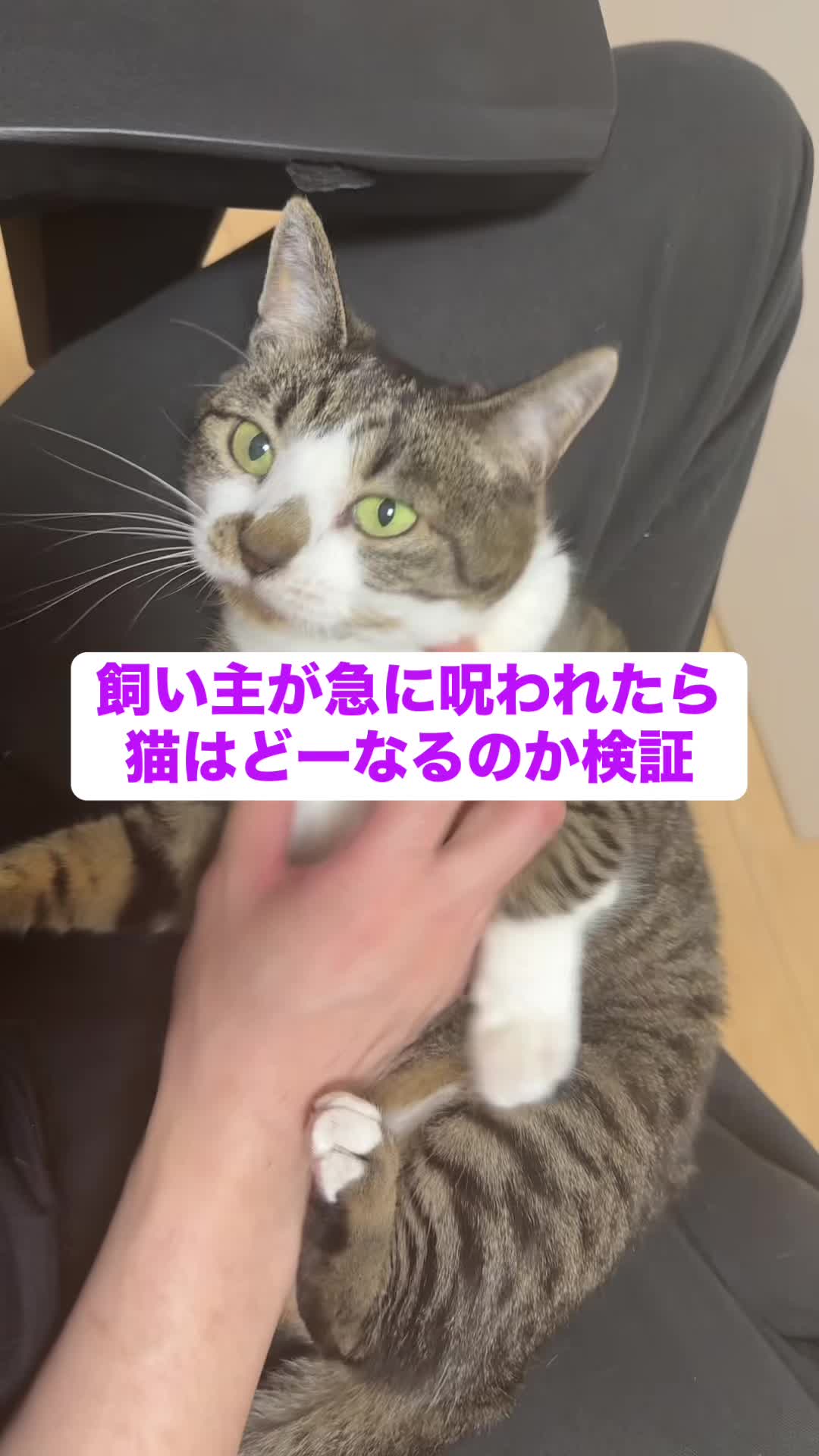 @ใจใใ๐๐ค๐3/28๐