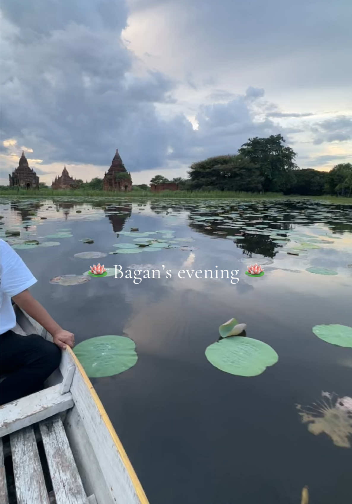 @khunn thadar ✮⋆˙