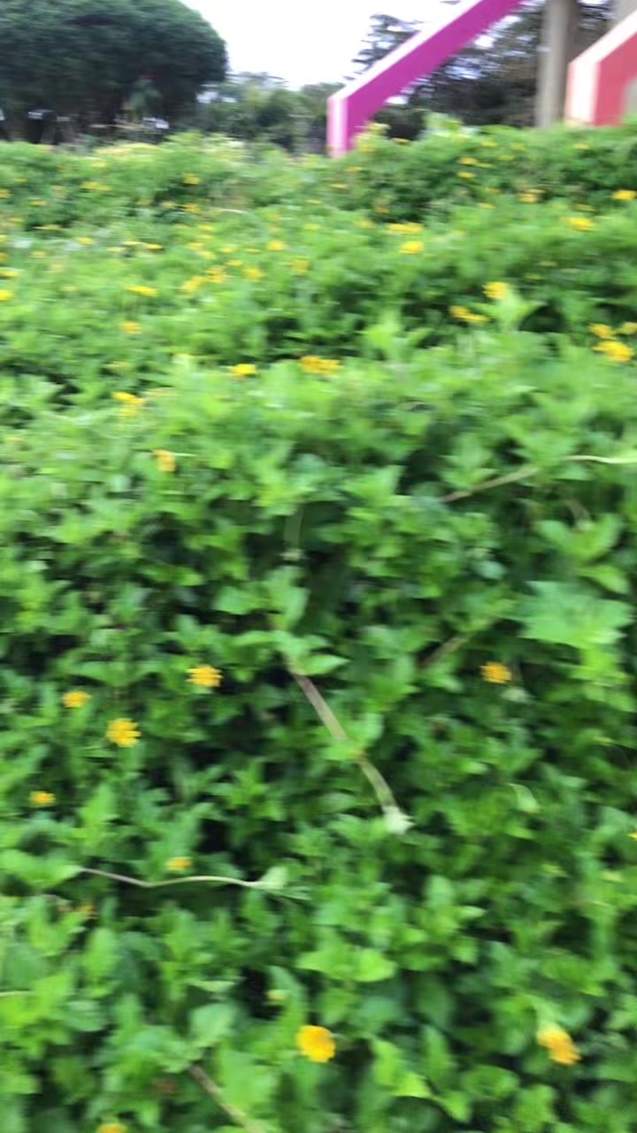 @KCAJ