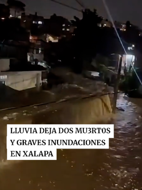 @Periódico Excélsior