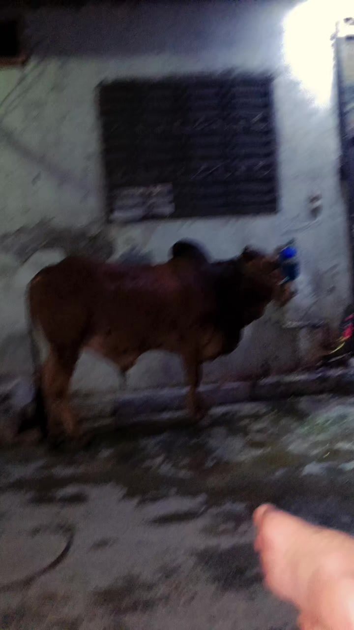@SYED BHAI 121472