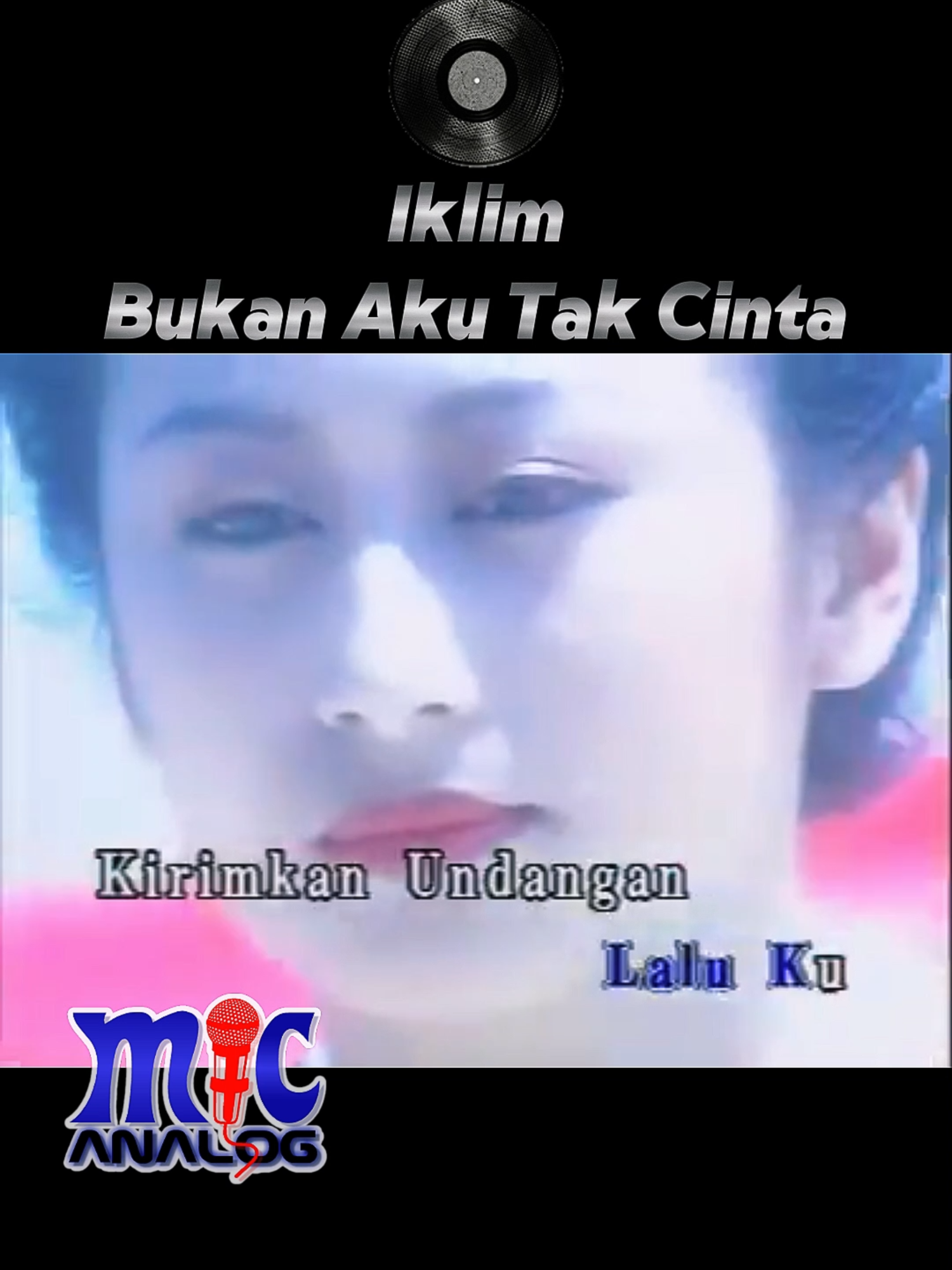 @mic analog