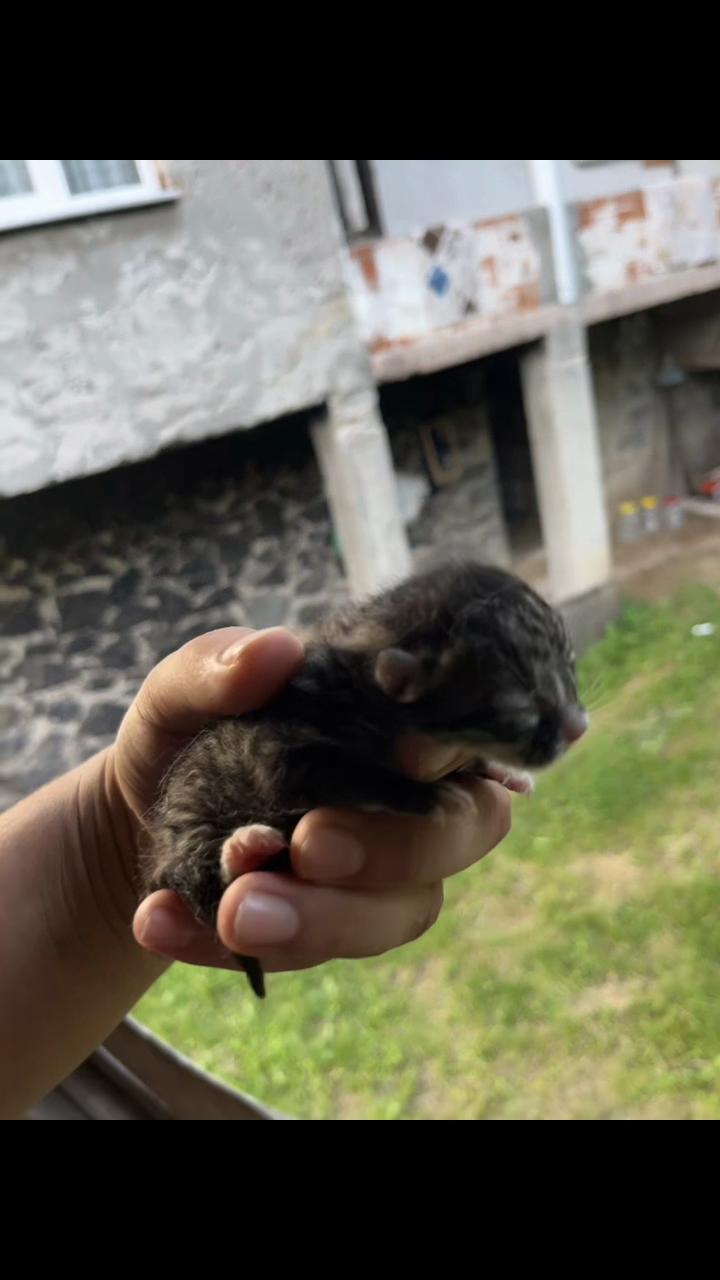 @Beytullah_şal