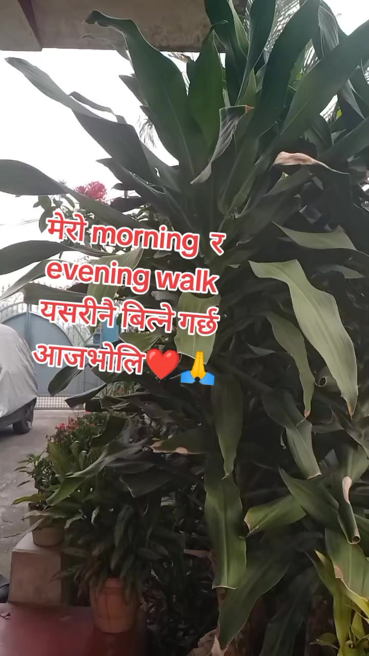 @sita poudel123