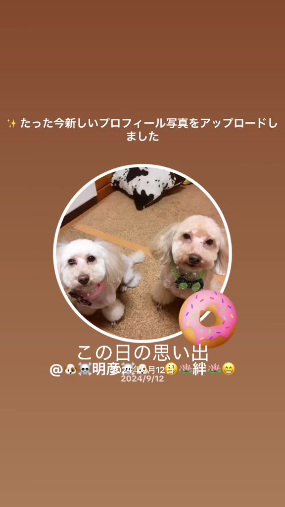 @๐ฉถใซใฃใใใ๐๐๐ฌ