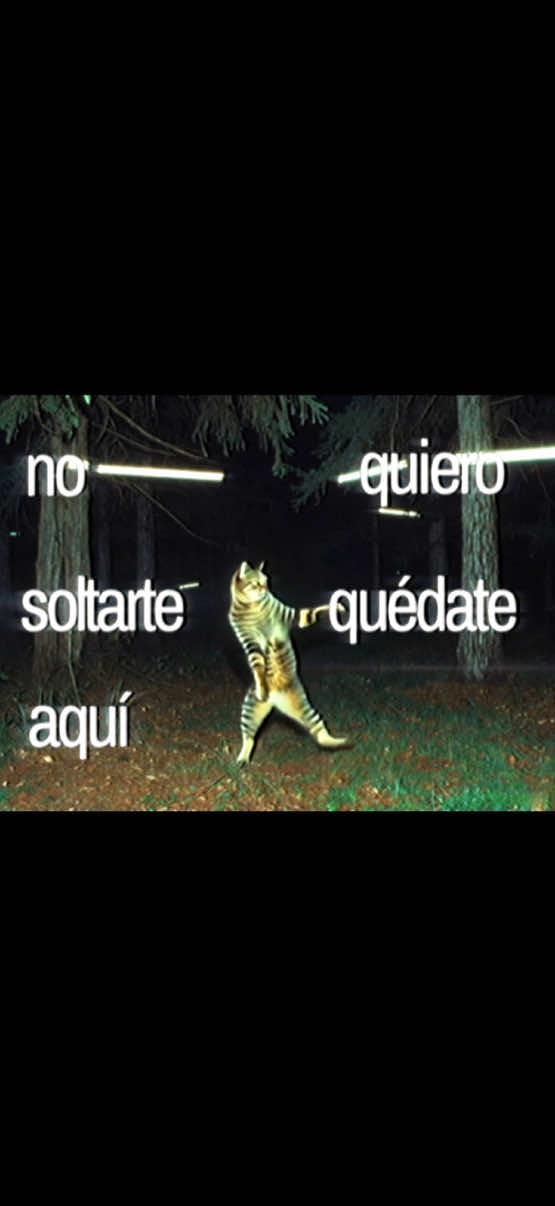 @jason