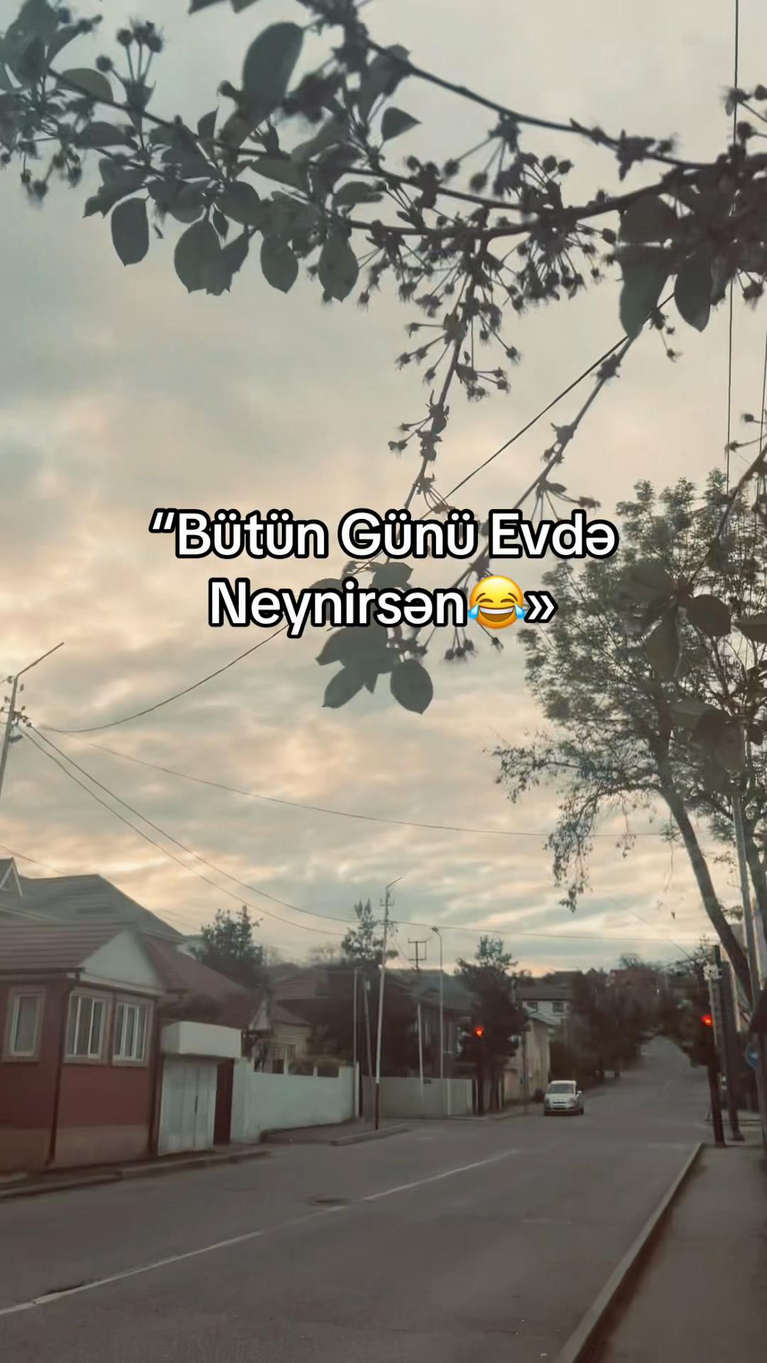 @Anar
