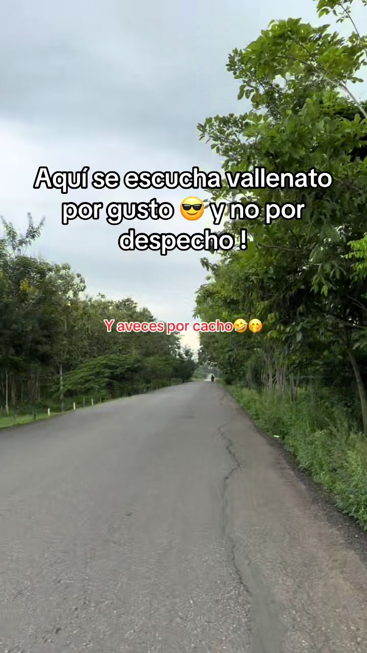 @luismamoreno