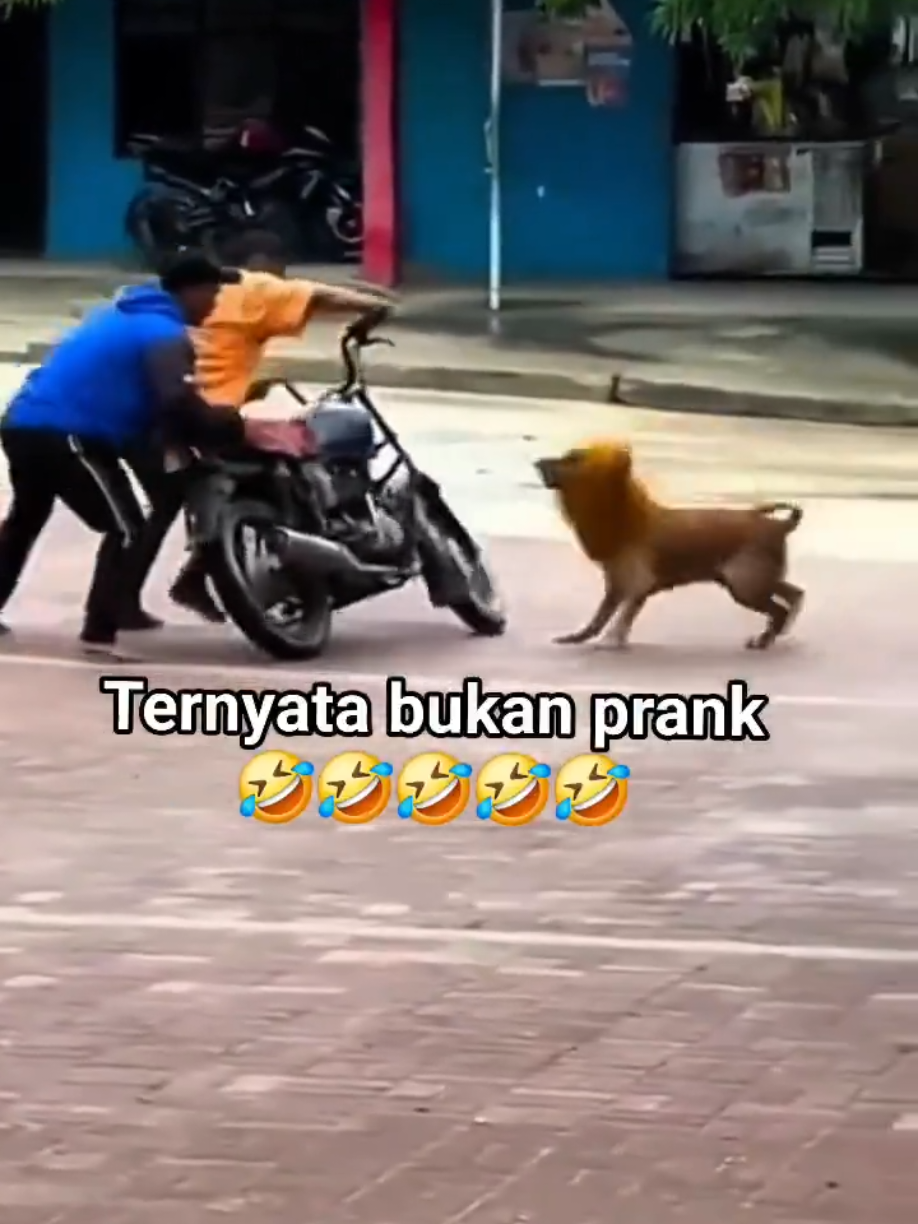 @Fr321