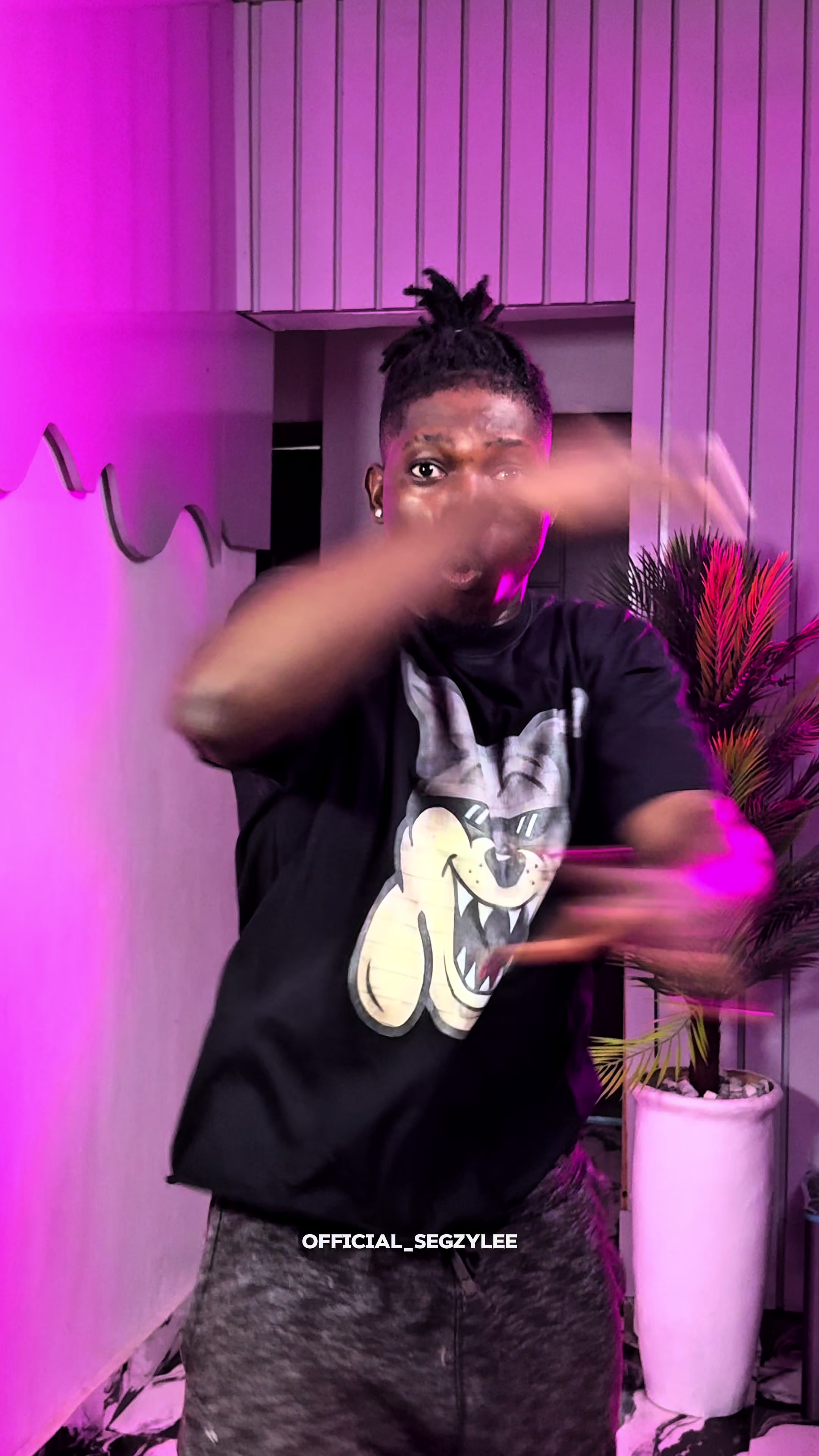@Michealsegzy👑