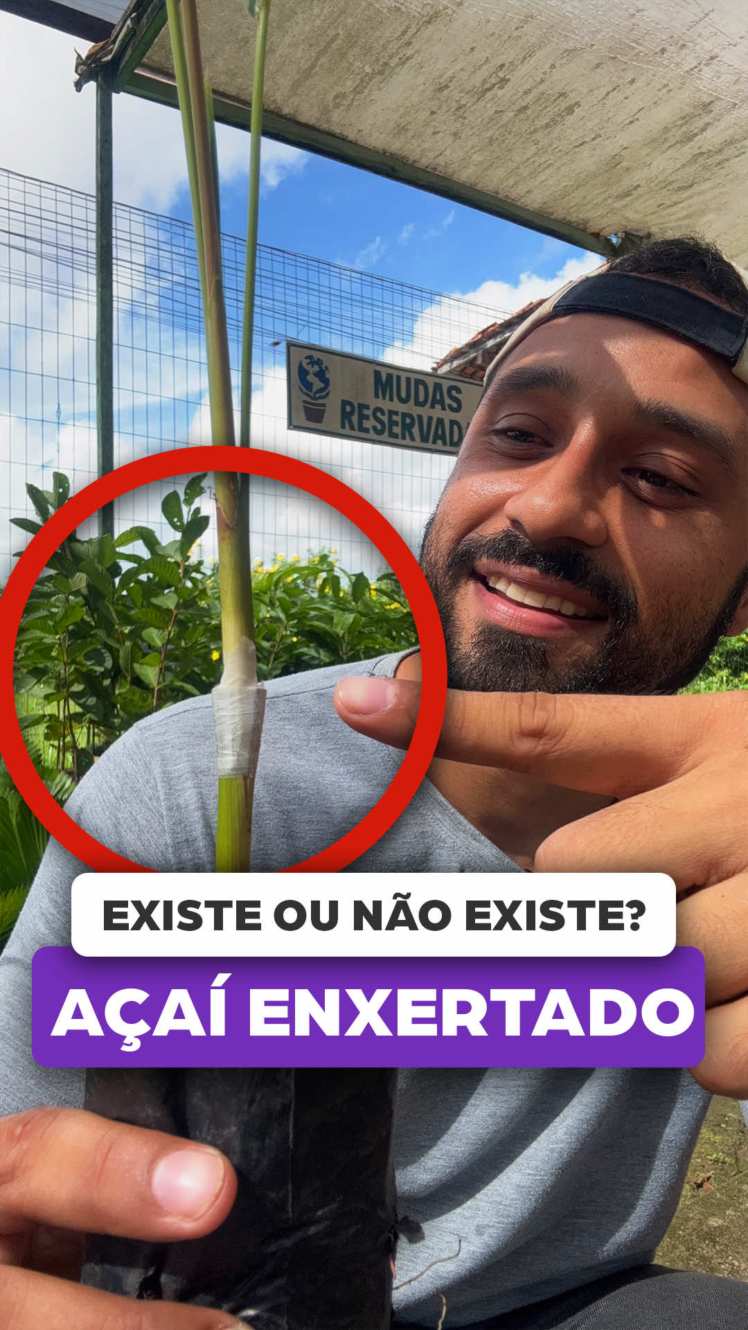 @ViveiroProMudas