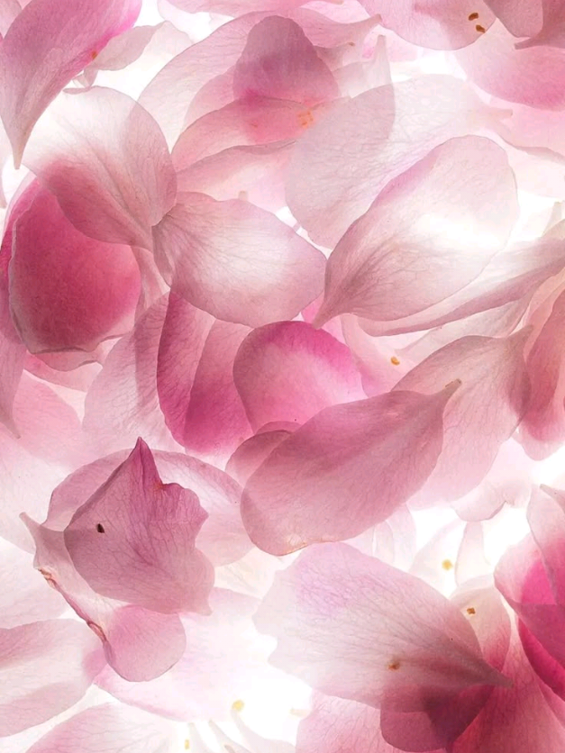 @tropicalprincesa ☥